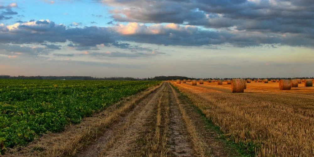 Ibbenbüren ist Starkregen-Hochburg in NRW