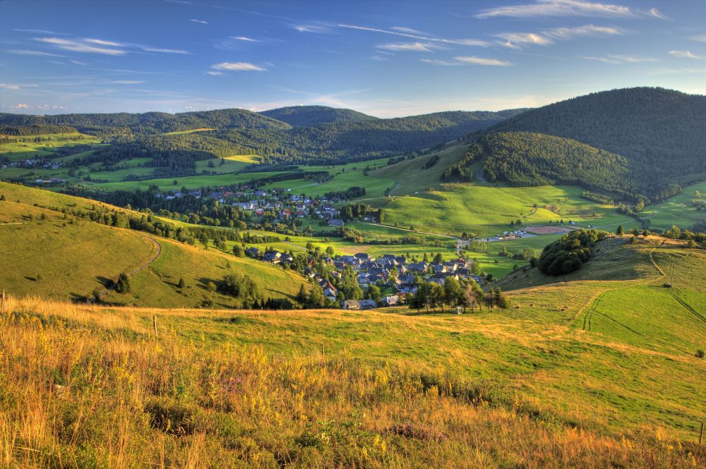 Albsteig Schwarzwald ist Deutschlands zweitschönster Wander- weg 2025