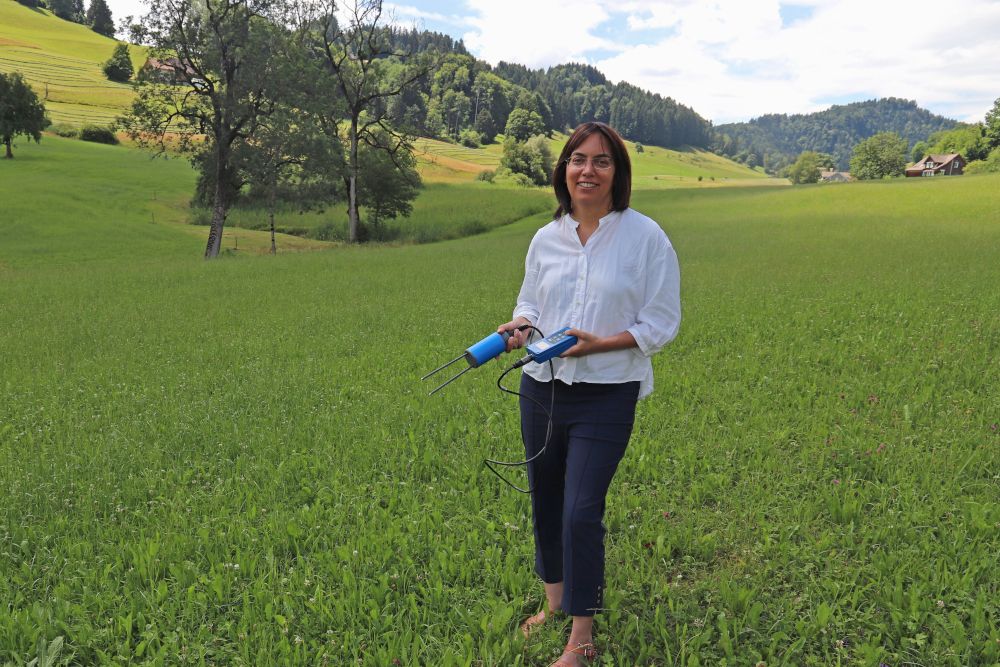 Trockene Böden heizen Erde auf