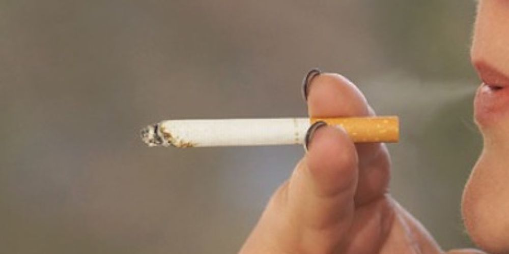 Uni Hohenheim startet Projekt „Sei dabei, RAUCHFREI!“ an Berliner Tafel