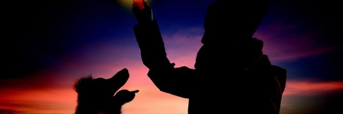 Gassi gehen mit Hunden im Winter