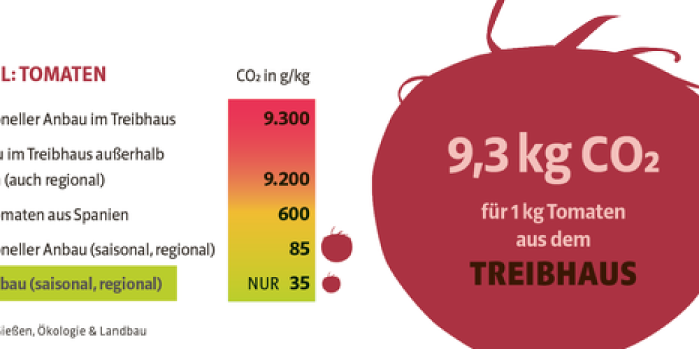 Jetzt beginnt die Zeit der klimafreundlichen Tomate