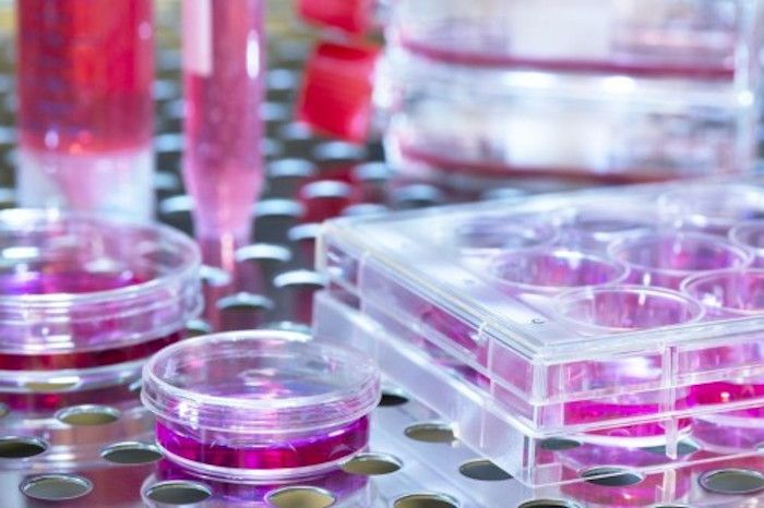 Regensburger Forscher: Neuer "Turbo" für die Corona-Impfstoffprüfung