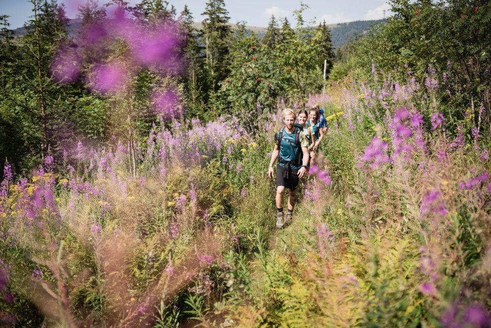Hochschwarzwälder Veranstaltungen im Mai 2022