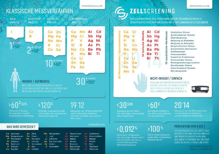 Toxische Metalle als Gesundheits-Blocker
