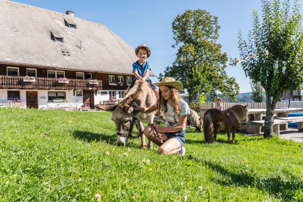 Raus in die Natur: Neues Ferienprogramm für Familien mit Kindern