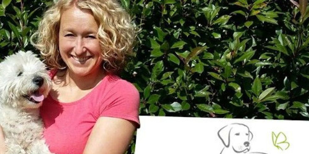 Ankündigung Online Kurse bei der vhs Wehr