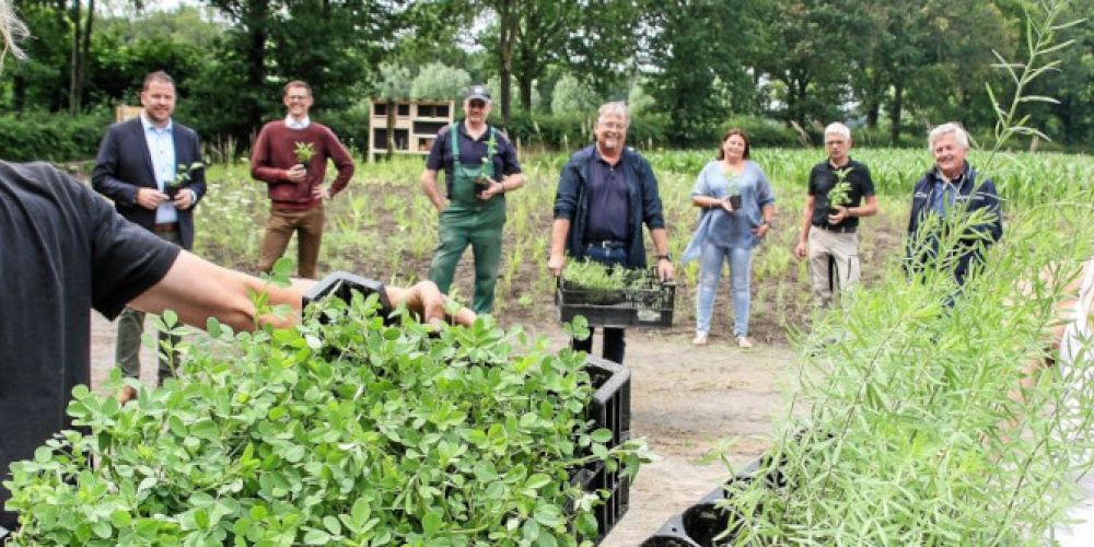 Wir brauchen mehr Artenvielfalt – Jeder kann helfen!