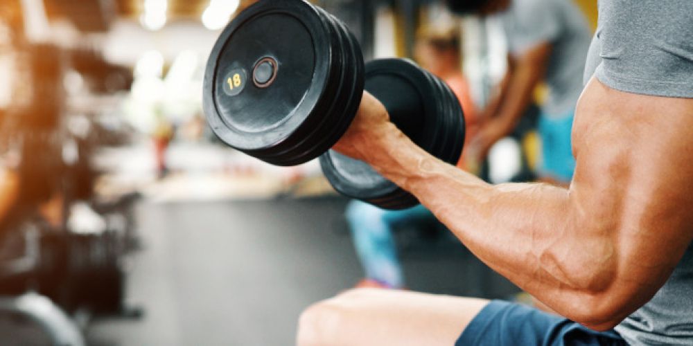 Fünf Mythen zum Muskelaufbau