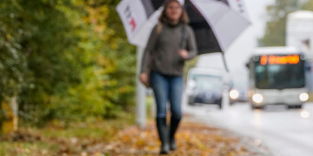 Wenn die Blätter fallen – wer muss fegen?