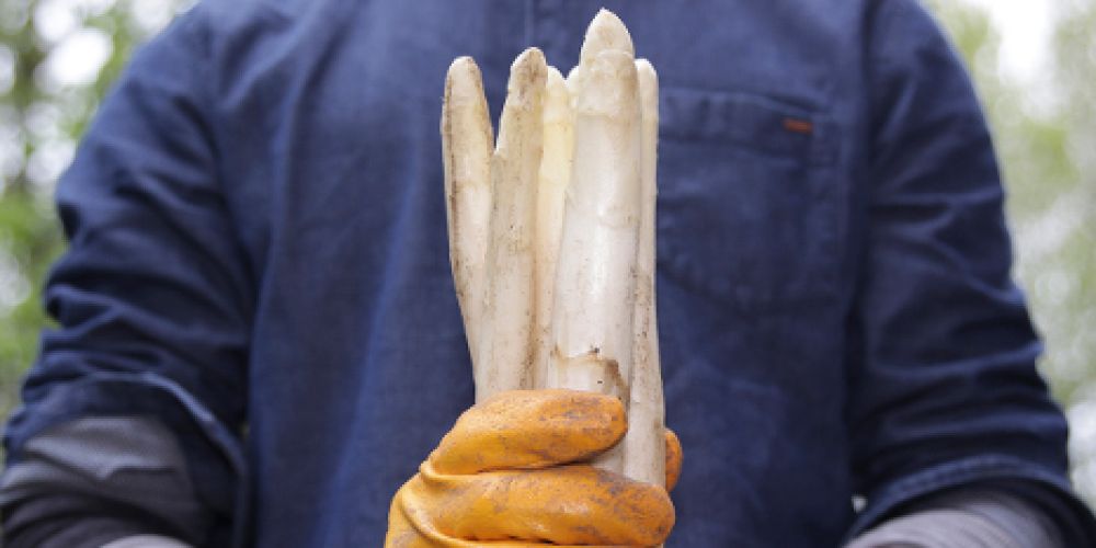 IG BAU Südbaden rät Saisonarbeitern zu Lohn-Check