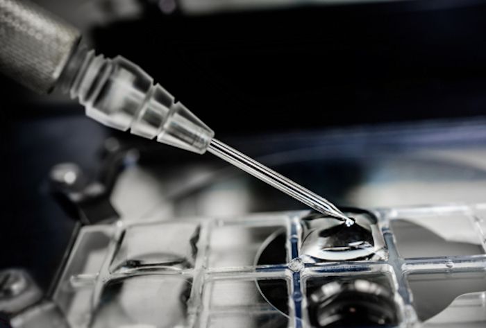 Hoffnung auf ein Medikament gegen Covid-19