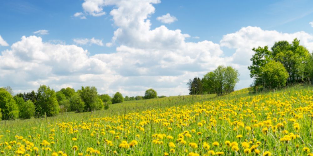 Was ist dran an den Eisheiligen?