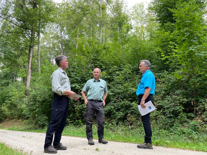 Geschwindigkeit des Klimawandels bringt FörsterInnen an ihre Grenzen