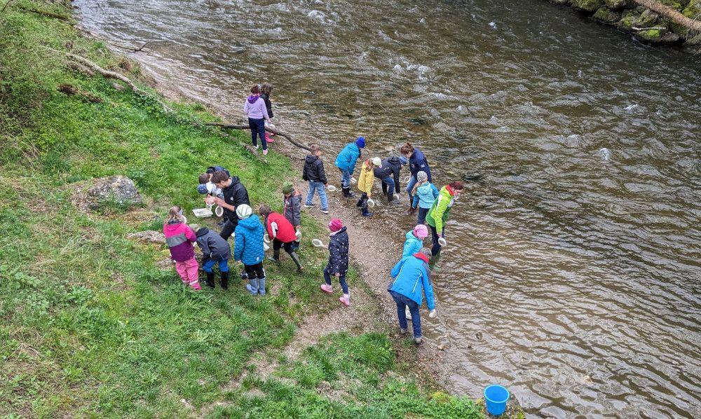 Naturerlebnis an der Wutach