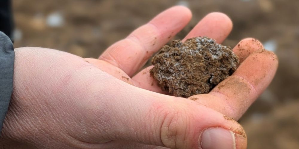 Stühlingen geht Wasserschutz proaktiv an