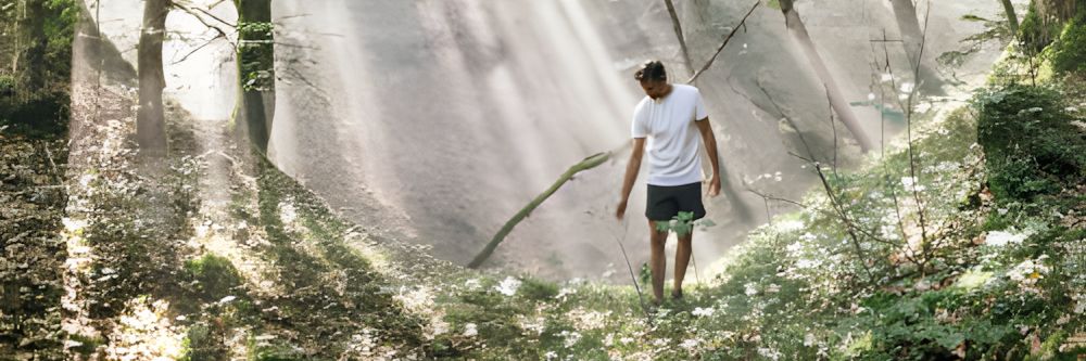 Bayerns Kurwälder werden zum Gesundheitsmodell der Zukunft