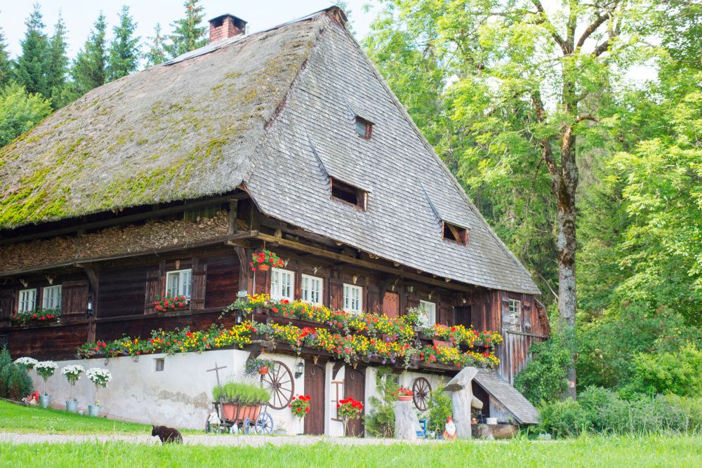 Hochschwarzwälder Veranstaltungen im Mai 2023