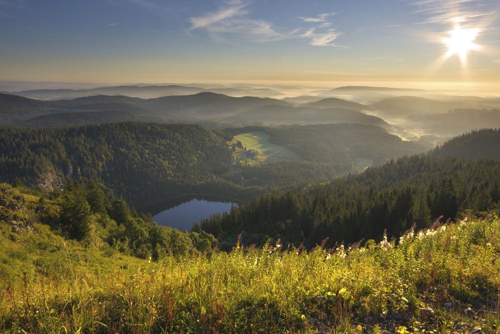 Hochschwarzwald als touristische Modellregion ausgewählt