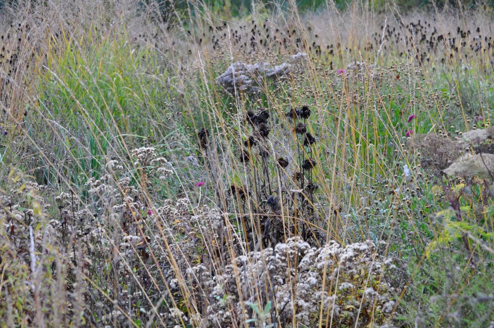 Gartenarbeit im Winter