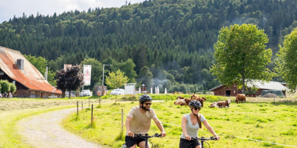 Aktion „Tausche Autoschlüssel gegen E-Bike“