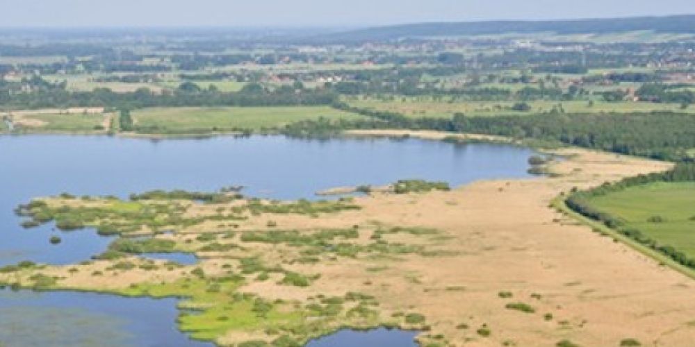 Flacher See mit großer Vielfalt: Dümmer ist „Lebendiger See des Jahres 2022“