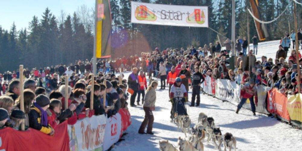 Internationales Schlittenhunderennen in Todtmoos