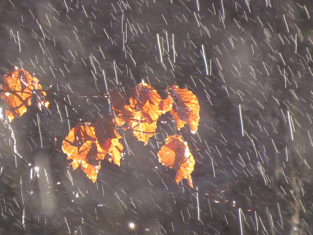 Fotoausstellung im Haus der Natur