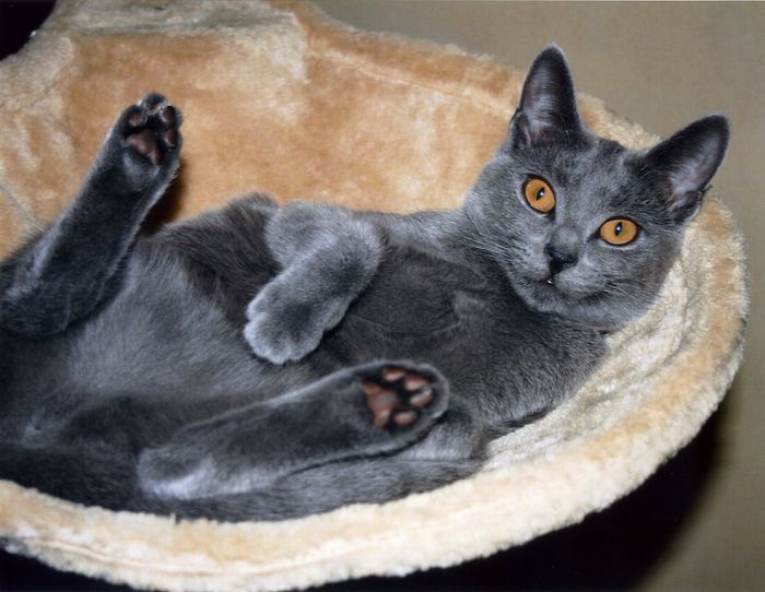 Hallo Lieblingstiger, schön, dass es dich gibt!