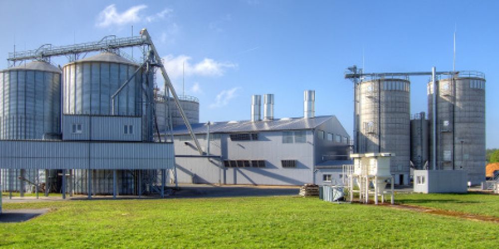 Aufforsten statt Abbrennen