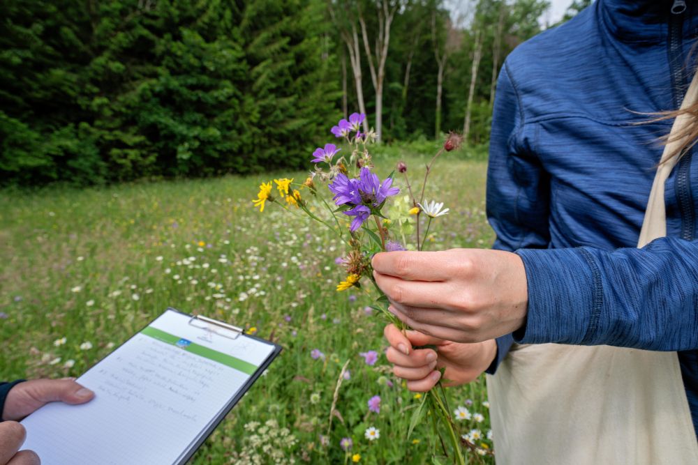 160.000 Euro für Projekte im Naturpark Südschwarzwald