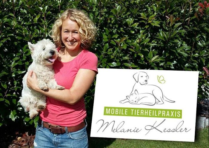 Ankündigung Online Kurse bei der vhs Wehr