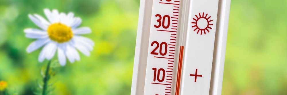 Frühsommerluft am Wochenende