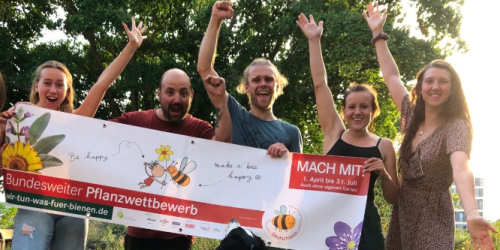 Wer gestaltet die attraktivsten Blühflächen für Insekten?