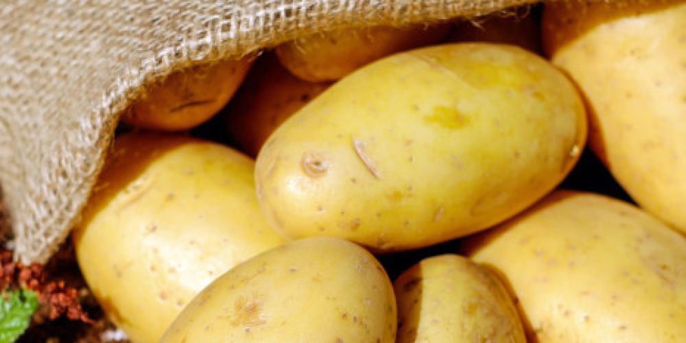 Vielseitigkeit auf Vorrat: So hält man Kartoffeln am besten frisch