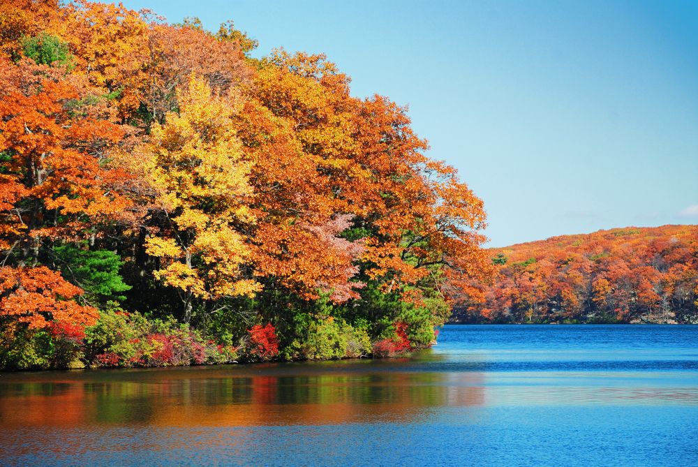 Bunte Blätter: Darum ist der Herbst so farbenfroh