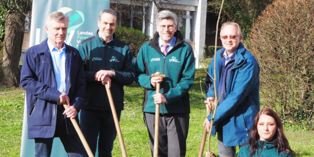 Kreisforstamt pflanzt Roteiche zum Tag des Waldes