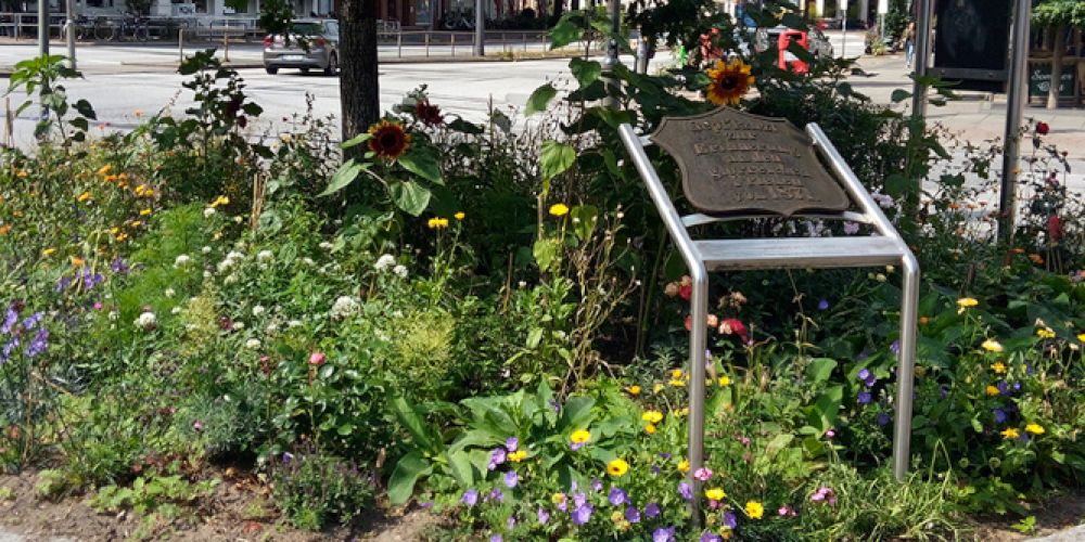 „Jede Wiese zählt!“ – Aufruf zur Begrünung der Nachbarschaft