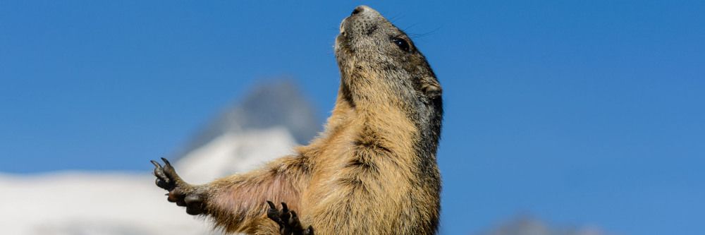 Wettermythen auf dem Prüfstand