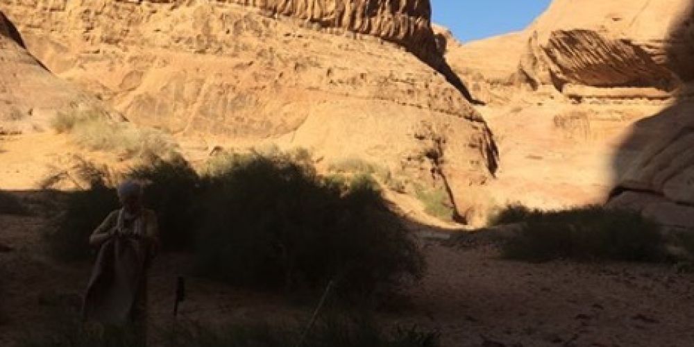 „Die Wüste (M)ein Traum“