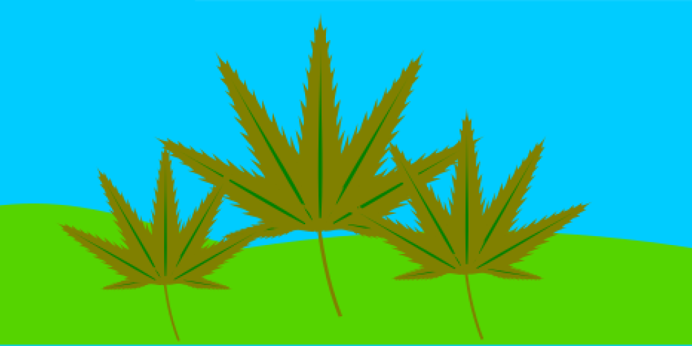 Kann CBD Öl Konzentration und Leistungsfähigkeit steigern?