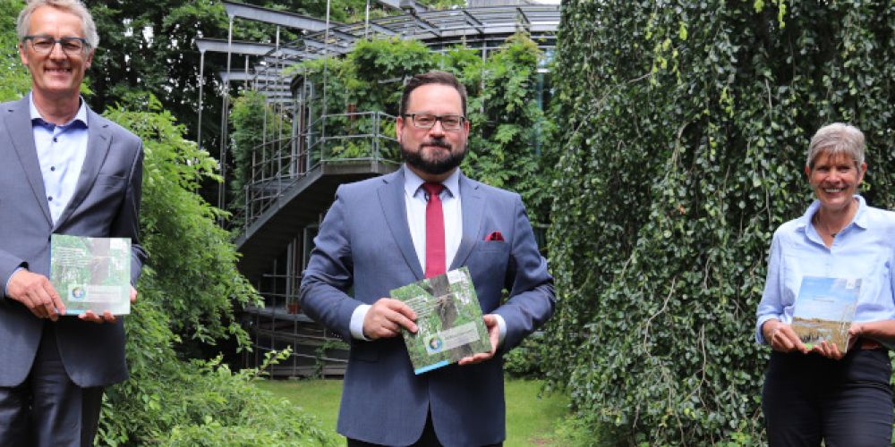 DBU: Bonde: Wälder leiden massiv unter der Klimakrise