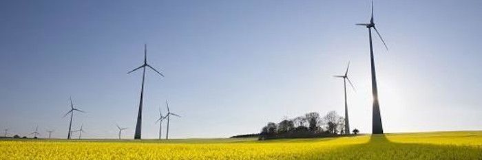 Erneuerbare Energien deckten im Jahr 2021 rund 42 Prozent des Stromverbrauchs