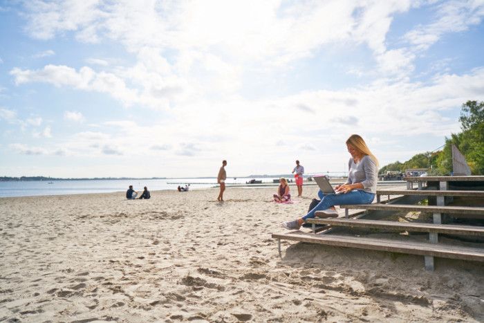 Harvard und Hochschule Stralsund ziehen bei neuem „Health-Master“ an einem Strang