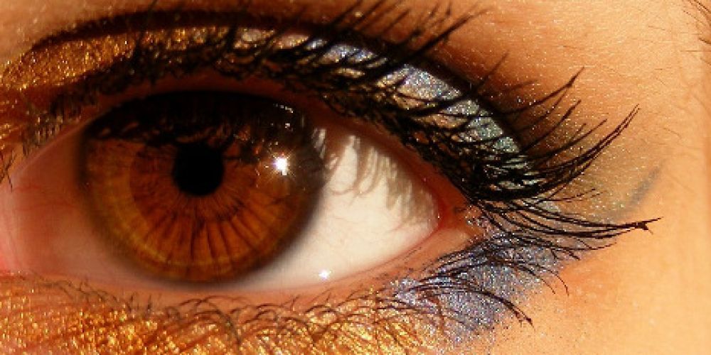 Spielend besser sehen lernen