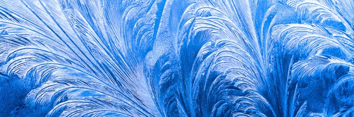 Kunstwerke der Kälte: Eisblumen