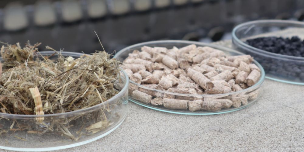 Sauberes Wasser mit nachwachsenden Rohstoffen