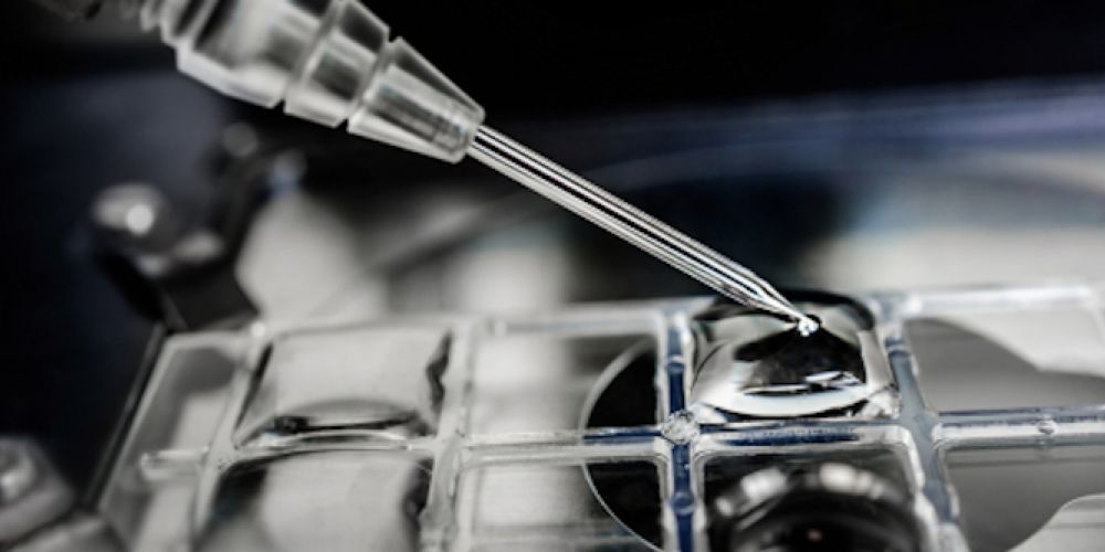 Hoffnung auf ein Medikament gegen Covid-19