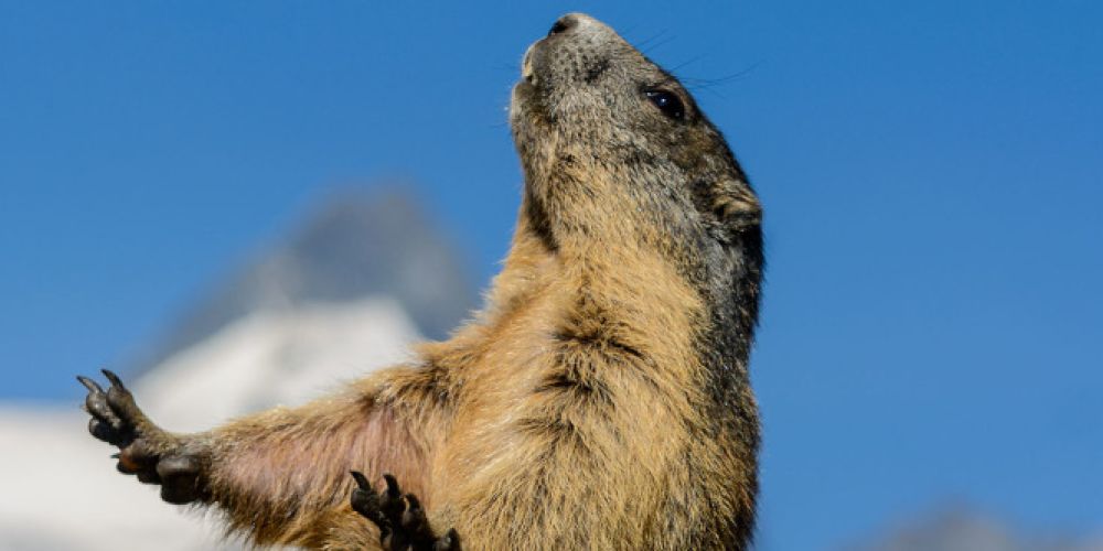 Wettermythen auf dem Prüfstand