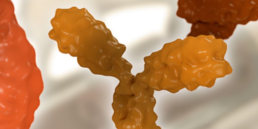 AMSEL-Wissensseite „MS behandeln“: Alle Therapien der Multiplen Sklerose (MS) auf einen Blick